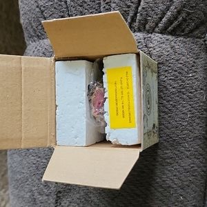 Boyds Bears Treasure Box circa 2000 Rare! Retired!